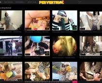 211px x 172px - 10+ Best Extreme Porn Sites - The Porn List